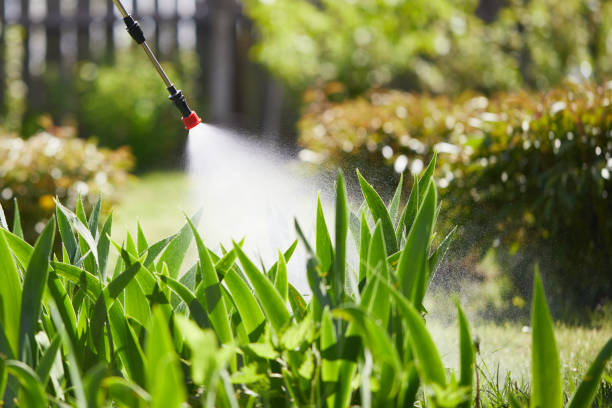 24/7 Emergency Termite Control experts in Lewiston, CA