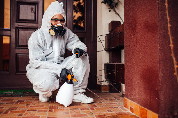 Reliable Termite Control contractor in Lewiston, CA by Nex Pest Control
